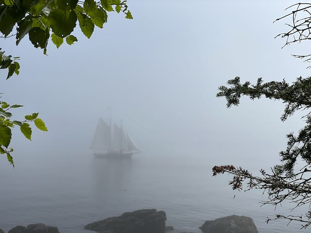 schooner passes rocky island in fog