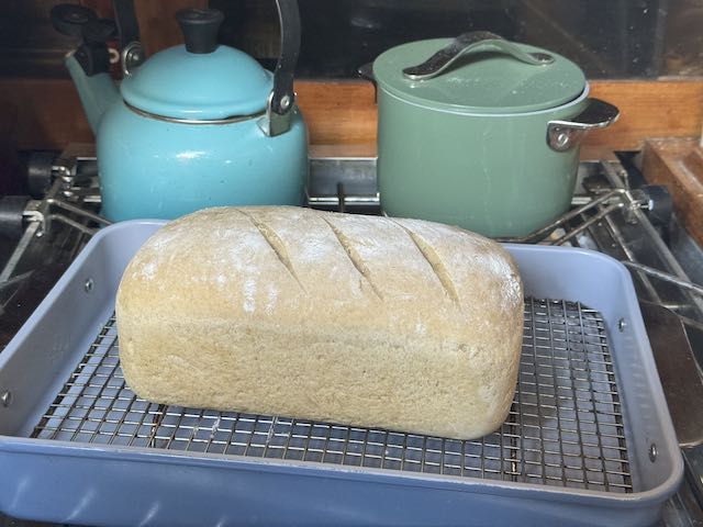 Loaf of boat bread