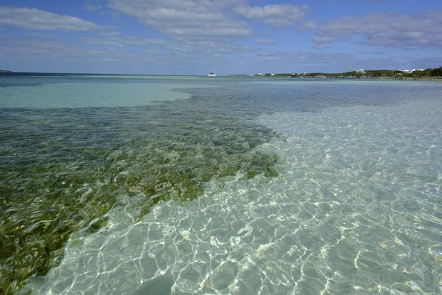 Clear water, Abaco, Bahamas