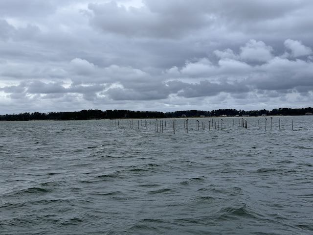 Fish stakes, pound net