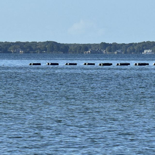 Oyster farm floats