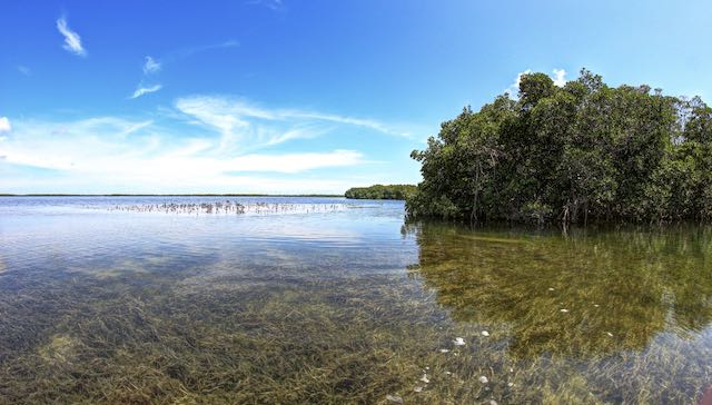 Backcountry, Key Largo