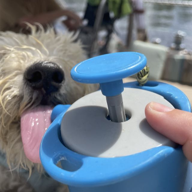 Aquabot: Ultimate in dog hydration