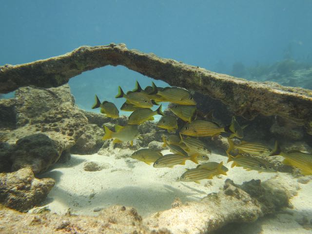 City of Washington wreck, Key Largo