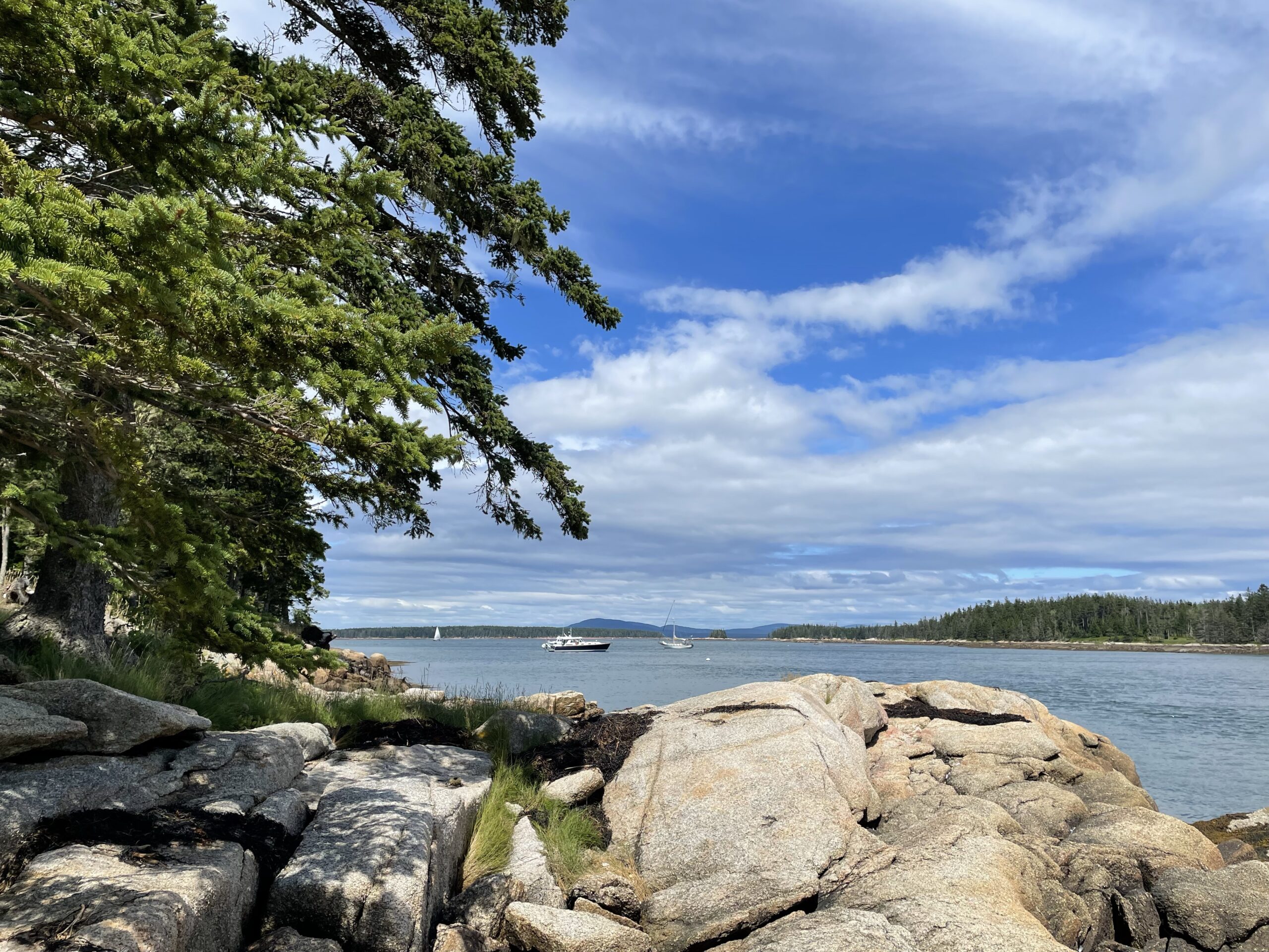 Maine Anchorage: Buckle Harbor, Jericho Bay