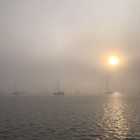 sailboats in the fog