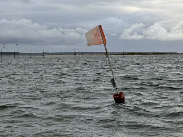 Boaters, Don’t Run A-Foul of Fishing Gear